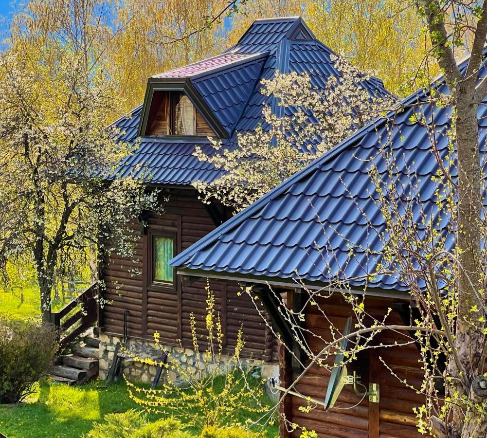Hotel Kula Damjanova-Komnenovo Selo Plav Exterior foto